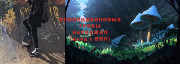 герыч Бородино