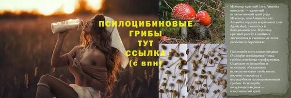 герыч Бородино