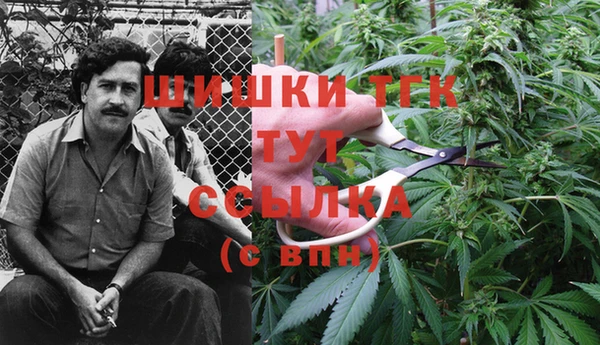 герыч Бородино