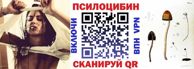 Галлюциногенные грибы мицелий  Купить  Высоковск 